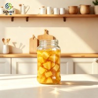 Lot de 650 cm de bocaux en verre transparent à paroi haute et filetés pour la mise en conserve, la fermentation et la conservation des aliments