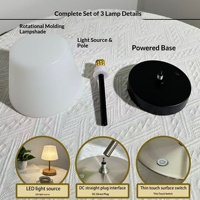 Lampe d'ambiance vintage haut de gamme en fer forgé, rechargeable, à commande tactile, personnalisable, best-seller