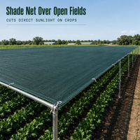 Filet d'ombrage agricole en HDPE stabilisé aux UV, vert, pour la protection des plantes et des cultures maraîchères