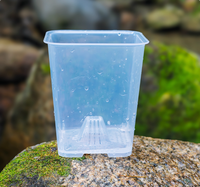 Nouveaux pots carrés transparents pour orchidées Dendrobium avec trous de drainage, bassin de contrôle des racines, en plastique écologique, pour la croissance, jardin intérieur et extérieur