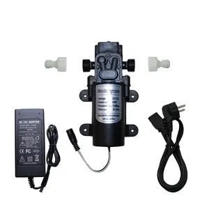 Whaleflo Patio Misting Pump Suppliers 12V 5LPM 60W Electric Pump Cooling Fogging System