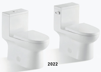 Ensemble de toilette moderne en céramique à double chasse articles sanitaires Bidet en HDPE citerne dissimulée CUPC approuvé articles de salle de bain