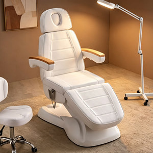 Cama Eléctrica Moderna de 3 o 4 Motores para Spa, Salón de Belleza, Masajes, Gimnasio y Dormitorio - Product Image 1