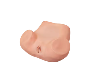 Mô hình tử cung giải phẫu PVC ADA-F35 cho mô phỏng đào tạo khám phụ khoa toàn diện cho các trường khoa học y tế - Product Image 1