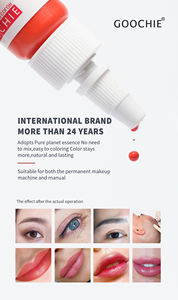 Goochie Maquillage Permanent Pigment Encre <span class=keywords><strong>de</strong></span> Tatouage PMU Microblading Sourcils - Product Image 6