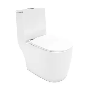 Modern Design Dual Flushing Bathroom Ceramic WC with Bidet One-Piece Washdown P-Trap Toilet