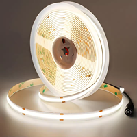 Taicron 5 mètres COB LED bande lumineuse 480LED DC24V Flexible 8mm bande intelligente avec 5 M COB LED bande