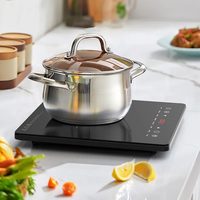 Table de cuisson à induction électrique portable CE, 2200W, avec panneau en cristal poli, brûleur unique, pour bureau, OEM