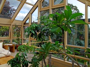 Modern Eco-Friendly Double Low-E Glazed Wooden Pyramid Glass <strong>House</strong> Thermal Break Hurricane Impact Aluminum Clad Residential - Product Image 6