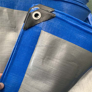 <span class=keywords><strong>Prix</strong></span> usine toutes les tailles bâche robuste étanche à la pluie couverture bâche sol <span class=keywords><strong>Camping</strong></span> feuille - Product Image 3