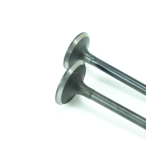 Высококачественные клапаны двигателя для OEM 077109601Q Volkswagen Aud BGH ASN - Product Image 6