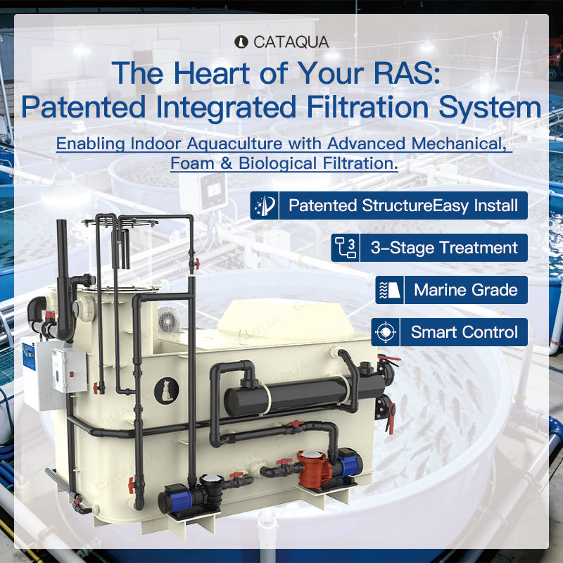 Mechanical Filter Ras Patented All-in-One RAS Filtration System OEM Drum Filter and Protein ...