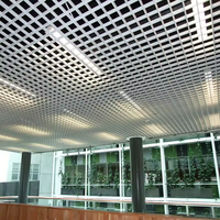 Panneaux de plafond suspendus décoratifs en métal de grille en aluminium de latte Hotsale