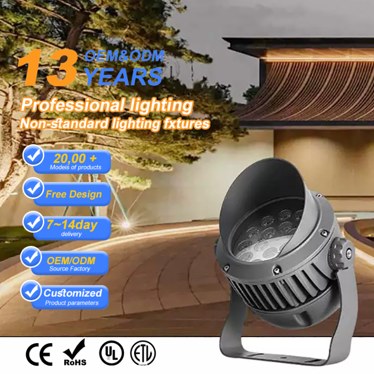High Quality DC 12-24V AC 220V IP66 COB RGB LED Flood & Spot Light 100W Outdoor Landscape Lighting CE Certified Remote Control