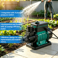 Pompa Booster Tekanan Tinggi Sentrifugal Kuningan yang Dapat Disesuaikan, OEM/ODM, untuk Tekanan Air Rumah Tangga 750W 1HP Tinggi Angkat 55m