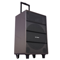 CM-1201 Hochleistungs 15-Zoll-Trolley-Lautsprecher Tragbarer Outdoor-Bühnen-Karaoke-Lautsprecher mit Großem Bass OEM ODM