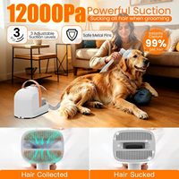 Aspirateur de toilettage pour chien 12000Pa, tondeuse électrique, brosse anti-chute de poils, kit multifonctionnel silencieux pour animaux domestiques, pour usage domestique