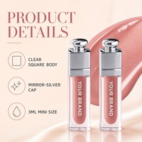 Tubes de gloss à lèvres mini carrés en argent naturel, logo personnalisé, longue tenue, marque privée avec emballage pour le maquillage quotidien