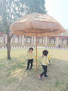 ร่มตลาดพาลาปาเรนจ์210ซม - Product Image 6