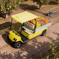 Carrito de Golf con Plataforma Abierta A2.H8, Gran Área de Carga, ¡Oferta!
