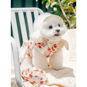 Conjunto de arnés de cuerda de plomo con patrón de Mascota, chaleco reflectante personalizado transpirable para caminar perros, cuero de poliéster pequeño, mediano y grande - Product Image 1