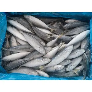 China Export frischer Makrelenfisch gelbschwanz gefrorener runder Scad Fisch gefrorener runder Scad HGT