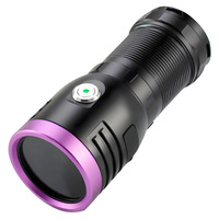 Lampe torche UV rechargeable haute puissance en alliage d'aluminium, indice IP20, lumière violette 365/395 nm, détection de scorpions, fluorescence et teignes.