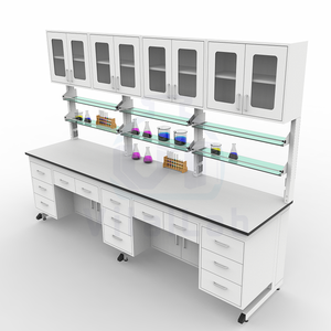 שולחן מעבדה איכותי ועמיד בפני קורוזיה, שולחן מעבדה הניתן להתאמה אישית למעבדות כימיות/ביולוגיות, בעל תקן ISO ו-CE - Product Image 4