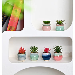 Mini maceta de cerámica moderna, ecológica, de 1-2L de capacidad para uso en escritorio, estilo de diseño pequeño para <span class=keywords><strong>plantas</strong></span> de flores <span class=keywords><strong>carnosas</strong></span> de interior - Product Image 1
