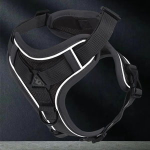 Joysing-Arnés ajustable transpirable de nailon para gatos, conjunto de correa, chaleco mejorado para gatitos, cachorros, a prueba de escape, perros para caminar al aire libre - Product Image 4