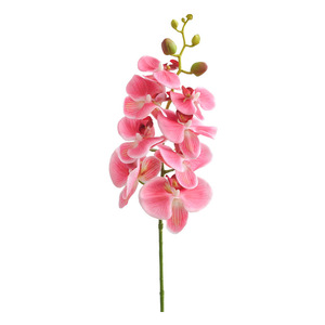 Orchidée Phalaenopsis Artificielle Yoshinobu, Ensemble de 8 Pièces, Décoration d'Intérieur Haut de Gamme, Style Luxe Léger - Product Image 5