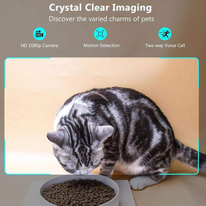 Distributeur de nourriture intelligent pour animaux de compagnie, grande capacité de 5 L, rechargeable, tension universelle, prend en charge l'enregistrement vocal de 15 secondes, alimentation à distance des animaux de compagnie - Product Image 4
