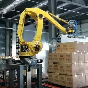 Complete Tray Automation System, Automatic <b>Stacking</b> of <b>Plastic</b> Wooden Trays, Various <b>Box</b> and Bag Handling - Product Image 1