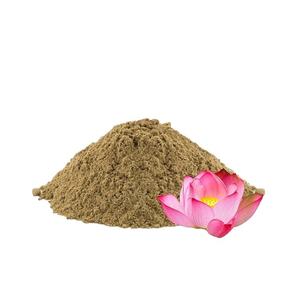 Polvo de Flor de Loto Sagrado (Nelumbo Nucifera) Orgánico, Kamal Pushpa, para Formulación Cosmética a Base de Plantas, Mezclas Herbales Aromáticas - Product Image 3