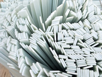 Barres plates en fibre de verre époxy FRP de haute qualité Bande de fibre de verre pour les membres d'arc