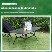 Table de rouleau d'oeufs pliante Portable en alliage d'aluminium Table de rouleau d'oeufs en métal pour Camping en plein air pique-niques plage à manger