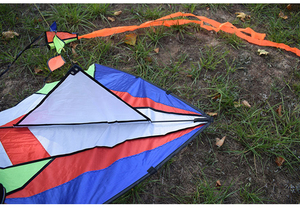 Chuyên Nghiệp Và Chất Lượng Cao Diều Cho Ngoài Trời Có Thể được Tùy Chỉnh Trung Quốc Diều Bán Buôn Từ Trung Quốc Nhà Máy - Product Image 6