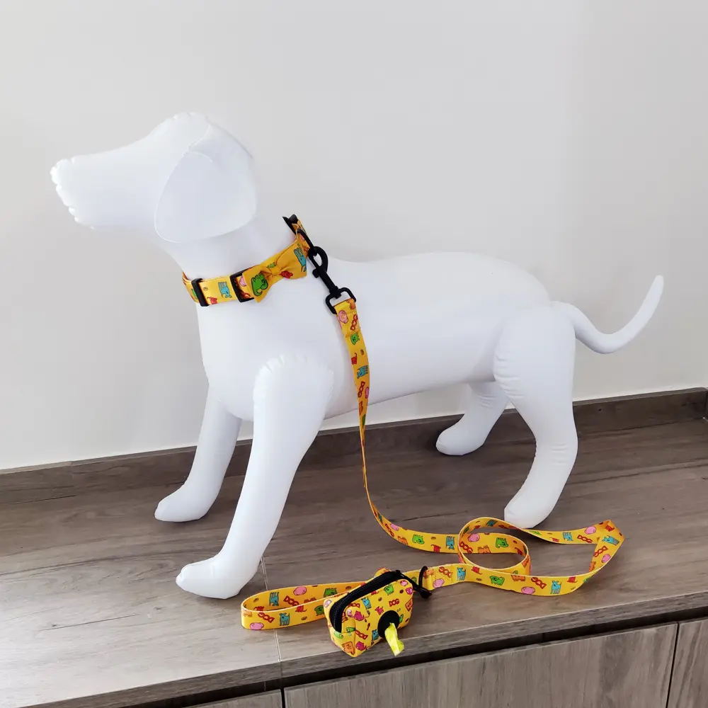 Bdsm Pvc Nổi Tiếng Tùy Chỉnh Logo Sang Trọng Nylon Đào Tạo Rope Set Cat Dog Pet Leash Và Tie Collar Set