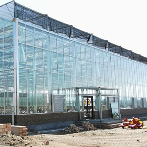 Grande serre hydroponique automatique en verre trempé pour la cueillette des fraises, panneau solaire, serre <span class=keywords><strong>de</strong></span> jardin, serre stable - Product Image 1