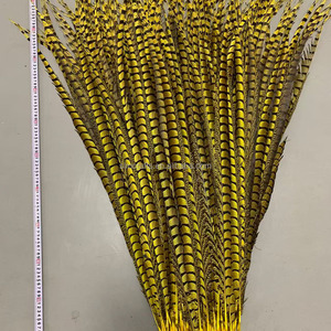Plumes de faisan Lady Amherst teintées de 110 cm en gros, plumes de faisan naturelles longues pour décoration de coiffure de costume de carnaval - Product Image 5