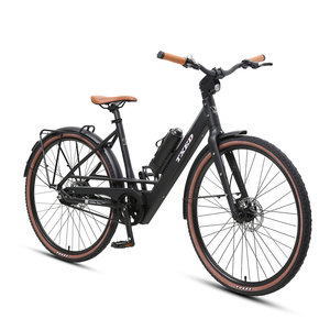 Vélo électrique urbain 36V 250W 700C, design professionnel, moteur à moyeu fiable, géométrie confortable, vélo de transport urbain pour adultes - Product Image 2