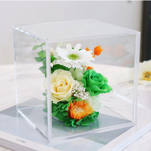Flores preservadas Margarita Africana Gerbera <span class=keywords><strong>jamesonii</strong></span> PARA EL Día de San Valentín Regalo de Navidad Decoración interior Dormitorio - Product Image 5