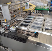 Machine d'emballage sous atmosphère modifiée automatique continue GFY-480M-Q pour fruits conservés et raisins secs