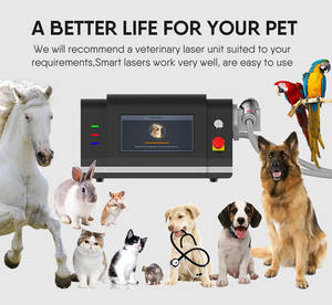 Mesin <span class=keywords><strong>Laser</strong></span> terapi fisioterapi kelas 4, mesin <span class=keywords><strong>Laser</strong></span> terapi Level rendah <span class=keywords><strong>30w</strong></span> untuk menghilangkan rasa sakit 980nm - Product Image 6