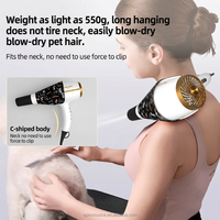 Secador de Mano para Mascotas Shernbao HD101A, Recargable, Silencioso, Compacto, de Plástico, Seguro, con Velocidad Ajustable, para el Hogar y Salones de Belleza