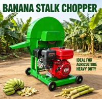 Nouveau broyeur domestique de bananiers 220V avec moteur en cuivre pur, pour la pâte de plantain, la découpe et le broyage, à moteur thermique