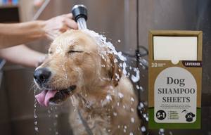 Champú Saludable en Hojas para <span class=keywords><strong>Perros</strong></span> y Gatos, Jabón Herbal en Hojas, Venta al por Mayor OEM/ODM - Product Image 4