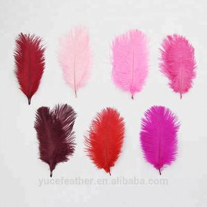 Plumes d'autruche colorées pour la décoration de vase à domicile en DIY - Product Image 2