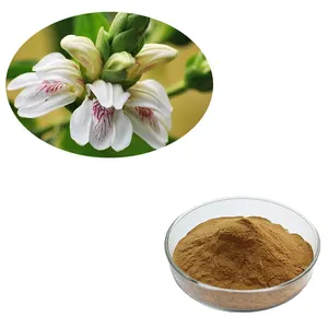 HONGDA Factory Supply Vasicine Adhatoda Vasica Extract