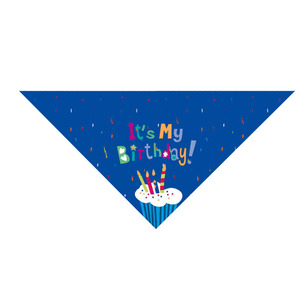 Conjunto de sombrero y pañuelo para cumpleaños de perro con lazo, accesorios de fiesta para mascotas - Product Image 2